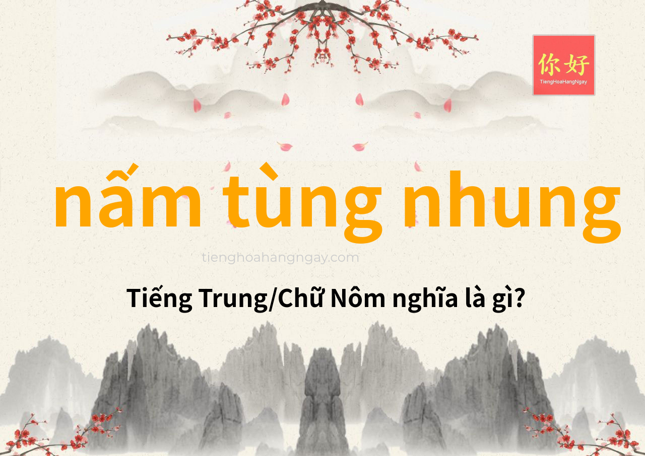 nấm tùng nhung tiếng Trung là gì?